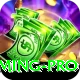 Nine Casino PK - Gaming Pro